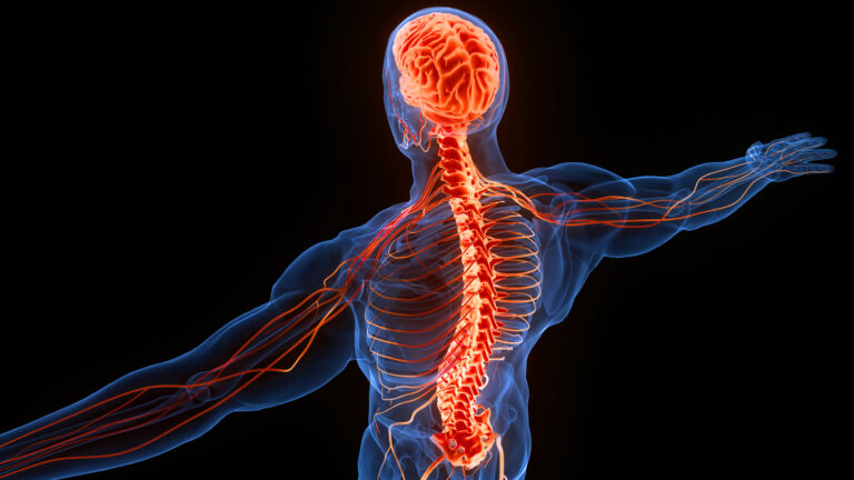 Nerwobóle – rola osteopaty w leczeniu